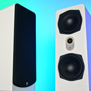 Youtube review by Damir Franc about the AperionAudio Novus T6 Tower