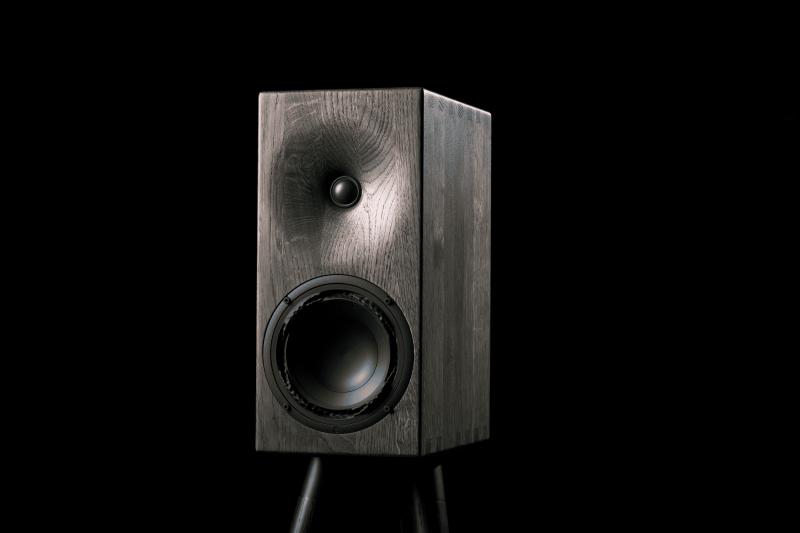 Buchardt Audio E50 (Paar)