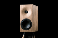 Buchardt Audio E50 (Paar)