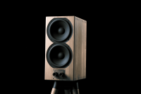 Buchardt Audio E50 (Paar)